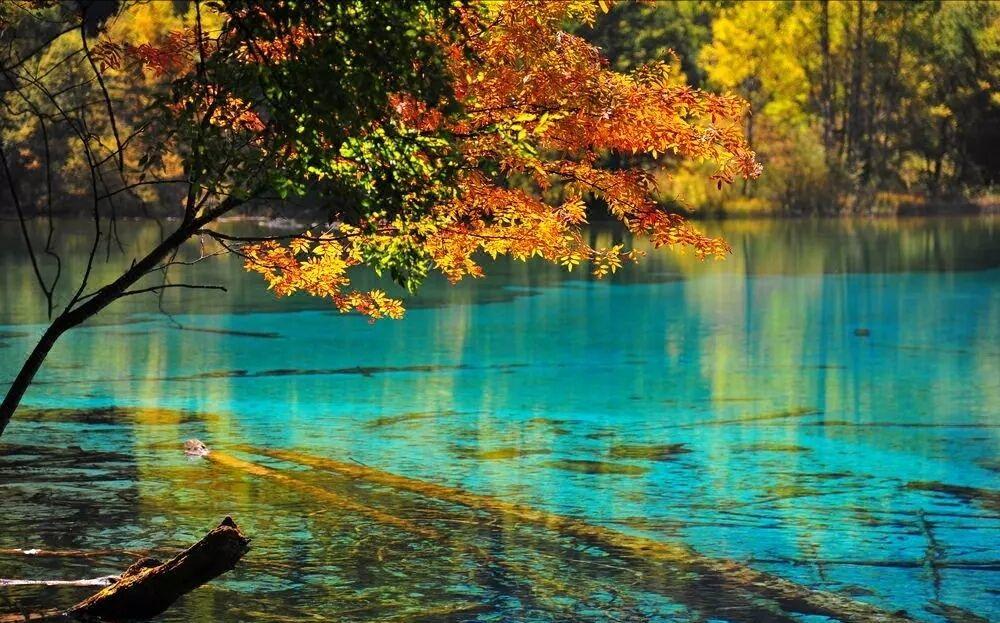 成都出發(fā)九寨溝三日自駕路書(shū)：九寨溝-都江堰-黃龍三日自駕游