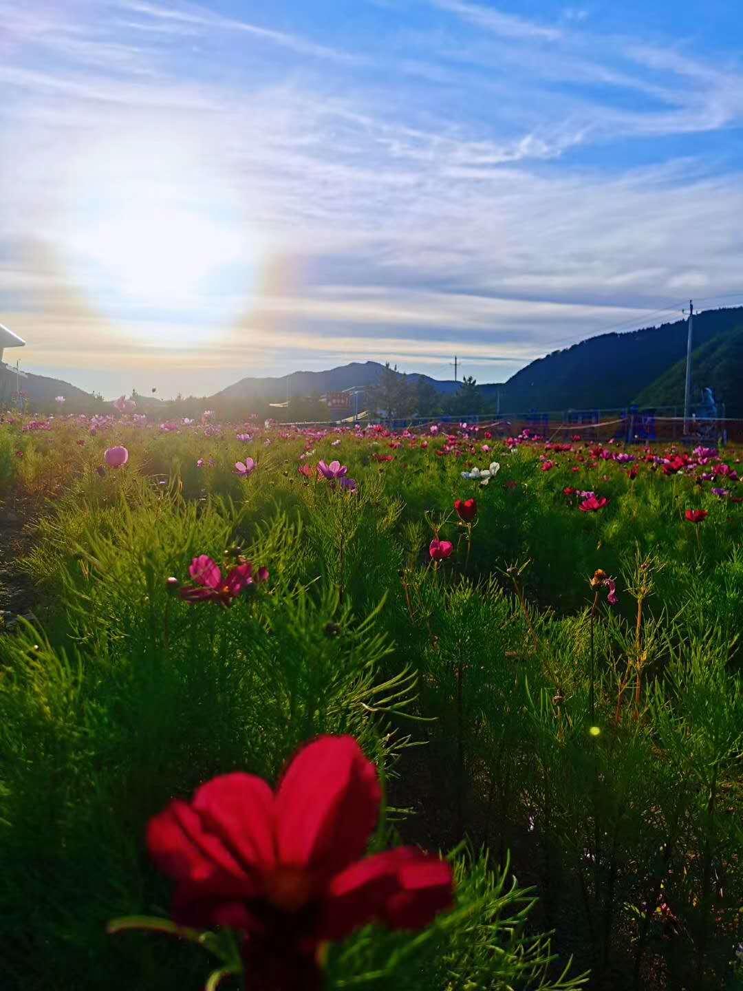 北京出发内蒙3日自驾游：美林谷-蒙古王城-沙地小镇3日自驾游
