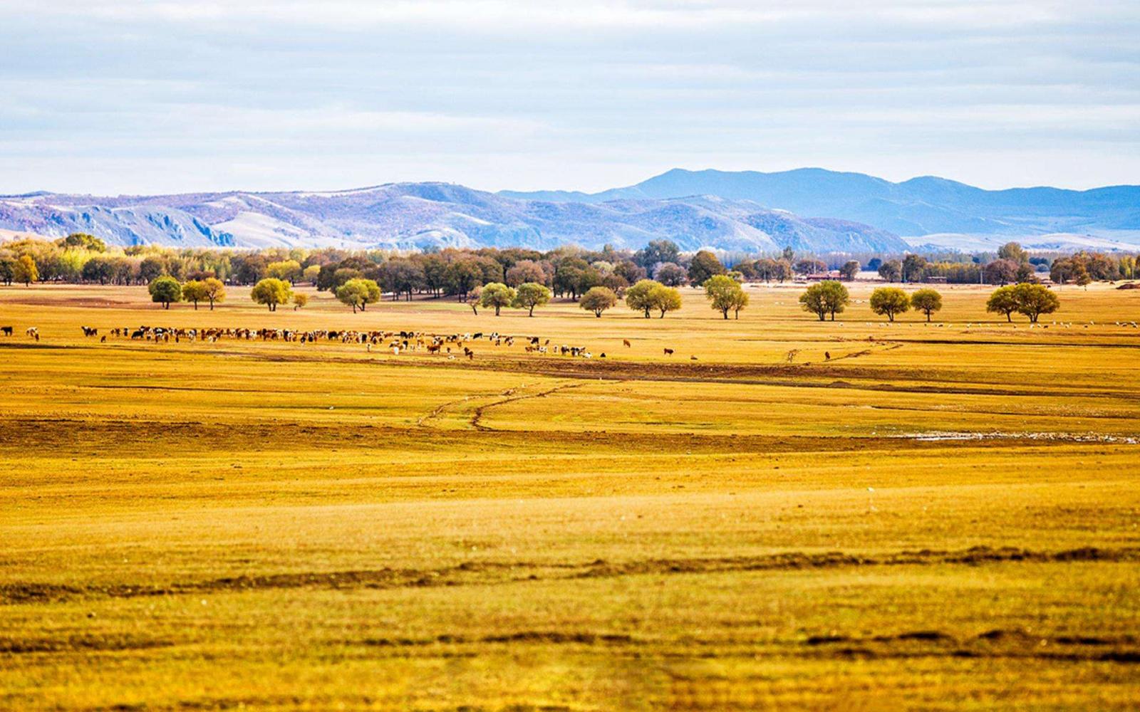 山東出發(fā)自駕河北張家口草原天路4日：自駕紅井天路-草原天路-四十里峽穿越3日游