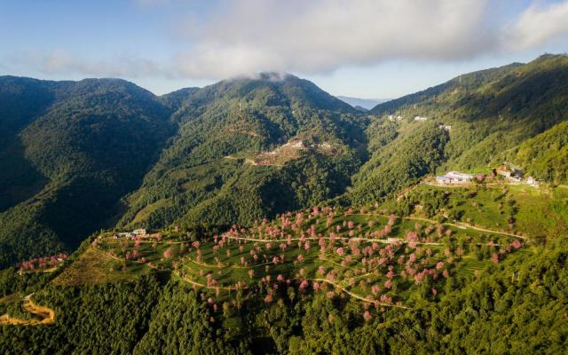 昆明集合云南8日落地自驾:无量樱花-腾冲银杏-诺邓古村-南涧土林8日自驾