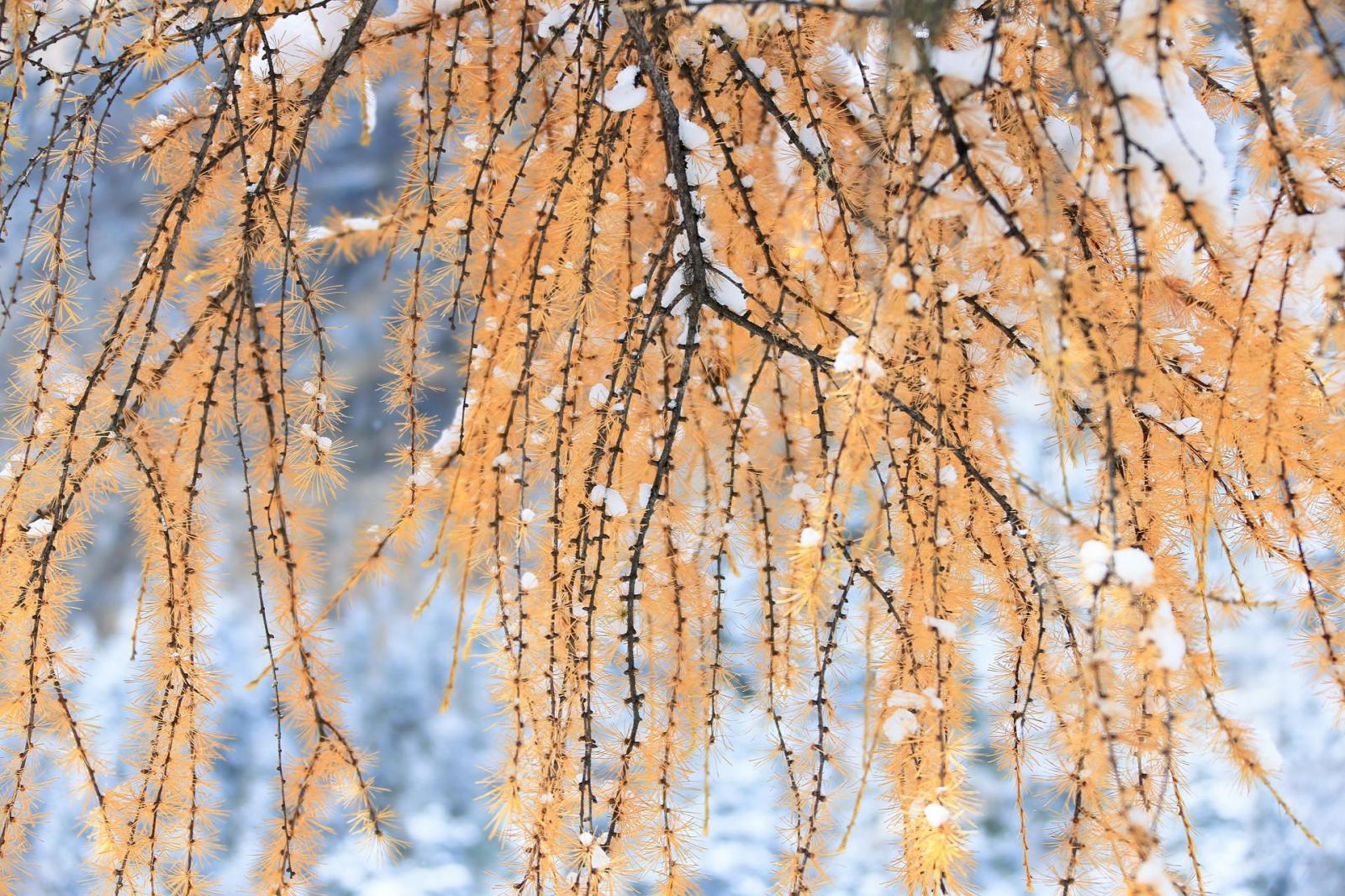 成都出发理县2日自驾：毕棚沟-甘堡藏寨-古尔沟温泉2日自驾