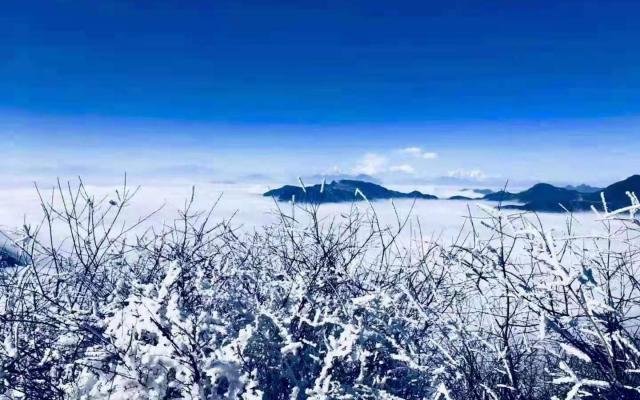 成都出发雅安3日自驾：轿顶山看云海-草科温泉-巴旺海徒步洗肺3日自驾