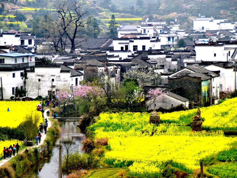 山东出发自驾江西婺源赏花5日游：婺源-天柱山-三河古镇-寿县古城婺源深度游
