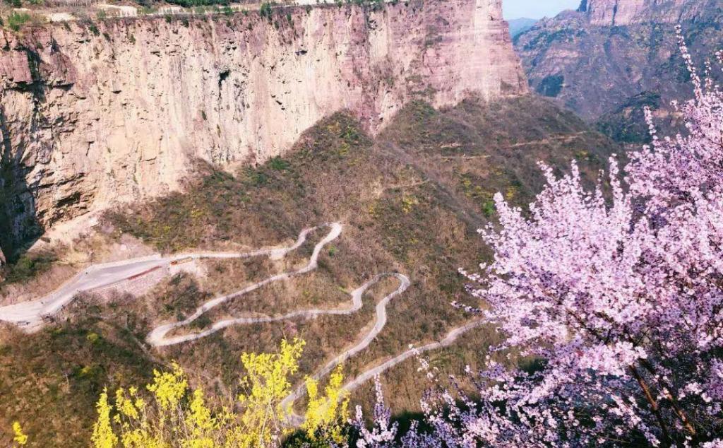 太行之巔、黃河之濱、一路芬芳汴梁行 ，來老家河南上熱搜吧！