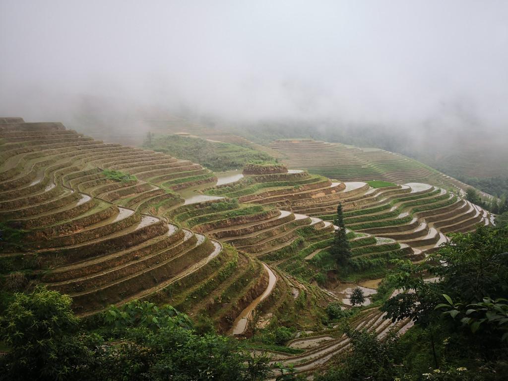 廣東出發(fā)五一廣西三江龍脊4日自駕游：三江程陽風(fēng)雨橋-侗寨-龍脊梯田4日自駕游