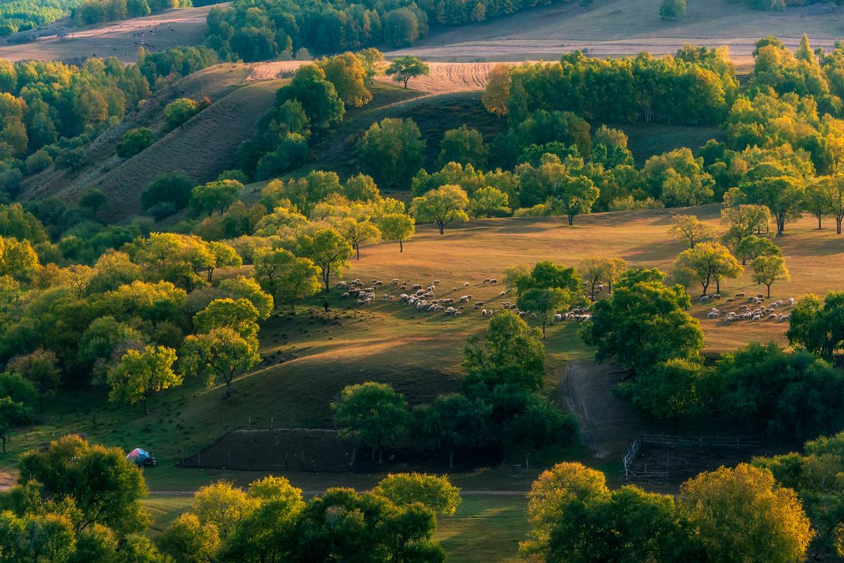 山东出发内蒙古7日草原自驾游：锡林郭勒-乌兰布统-避暑山庄-黄岗梁7日自驾游