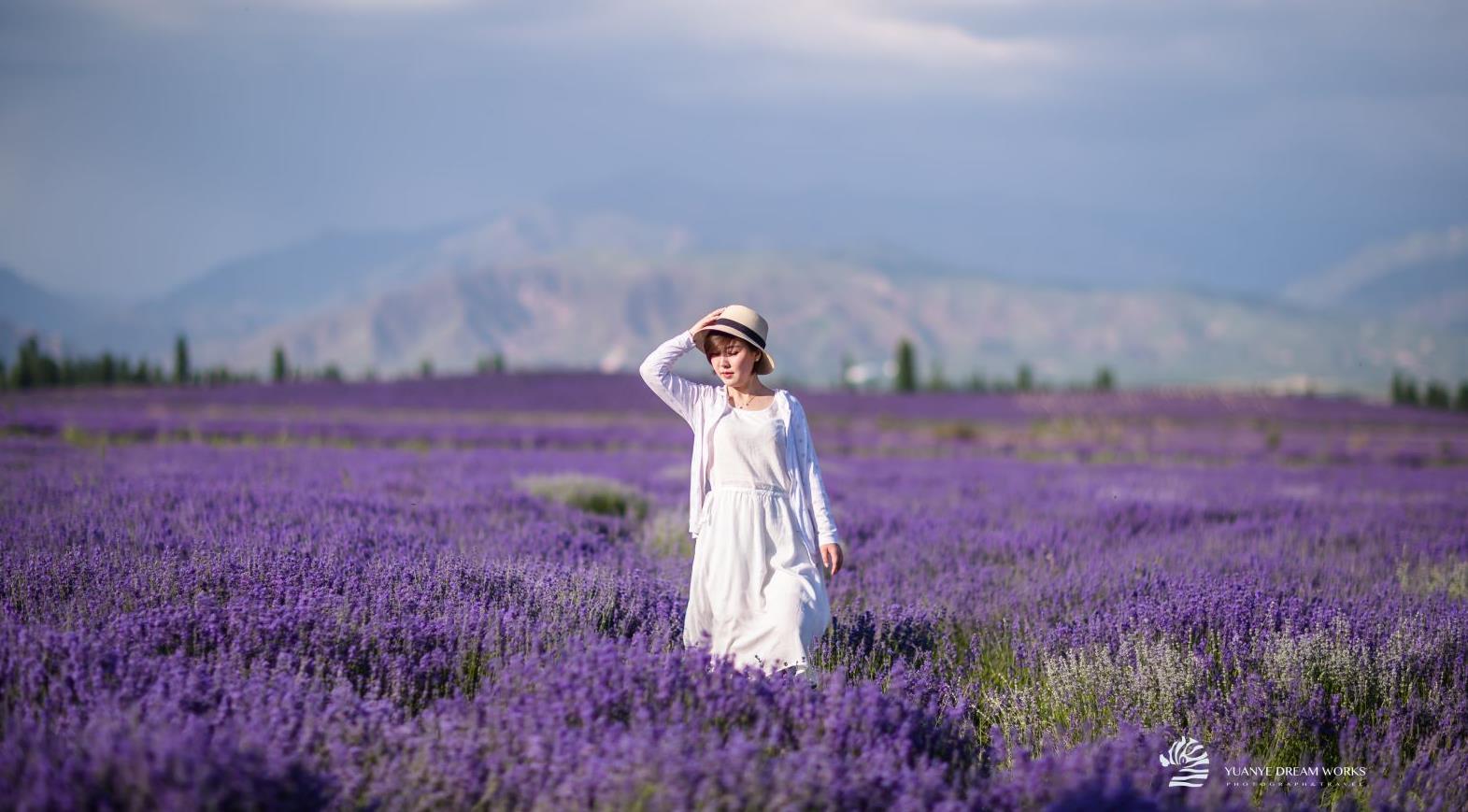 乌鲁木齐出发新疆落地包车深度旅拍8日游：巴音布鲁克-那拉提-霍城薰衣草-独库公路8日包车游