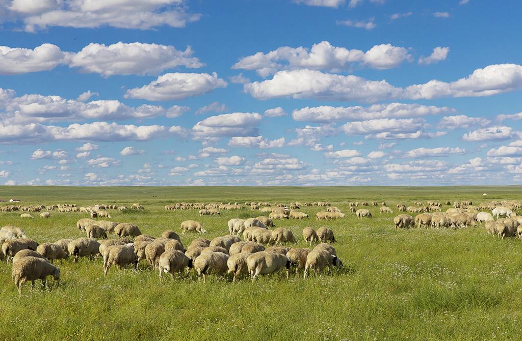 山東出發(fā)自駕內(nèi)蒙古錫林郭勒大草原5日游：錫林郭勒大草原 達(dá)達(dá)線 熱阿線 夢(mèng)幻河漂流5日自駕游