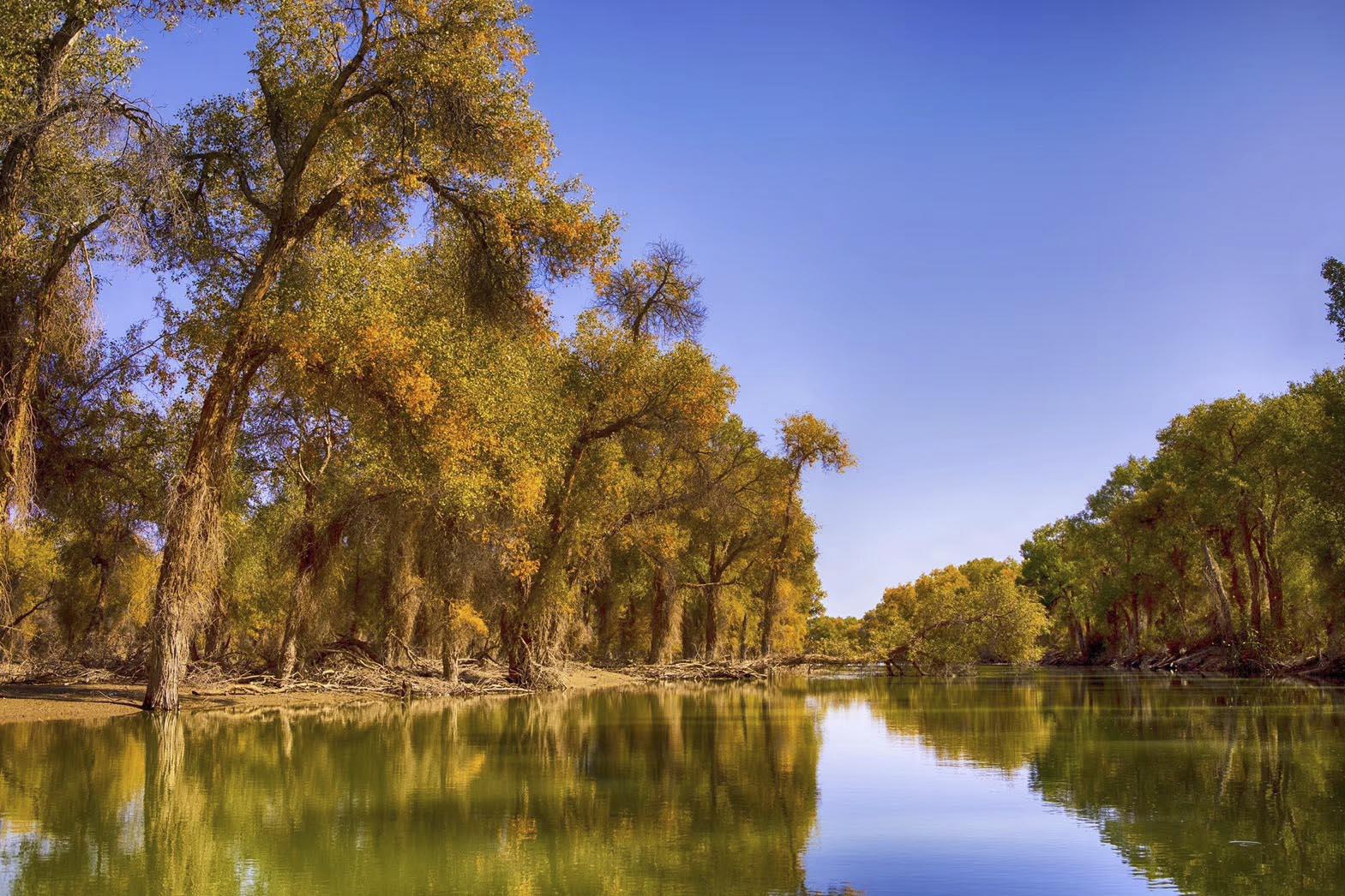 千年古城喀什·峽谷之王溫宿大峽谷·巴楚·沙雅萬畝胡楊林·帕米爾高原·南疆風(fēng)情9日落地自駕游