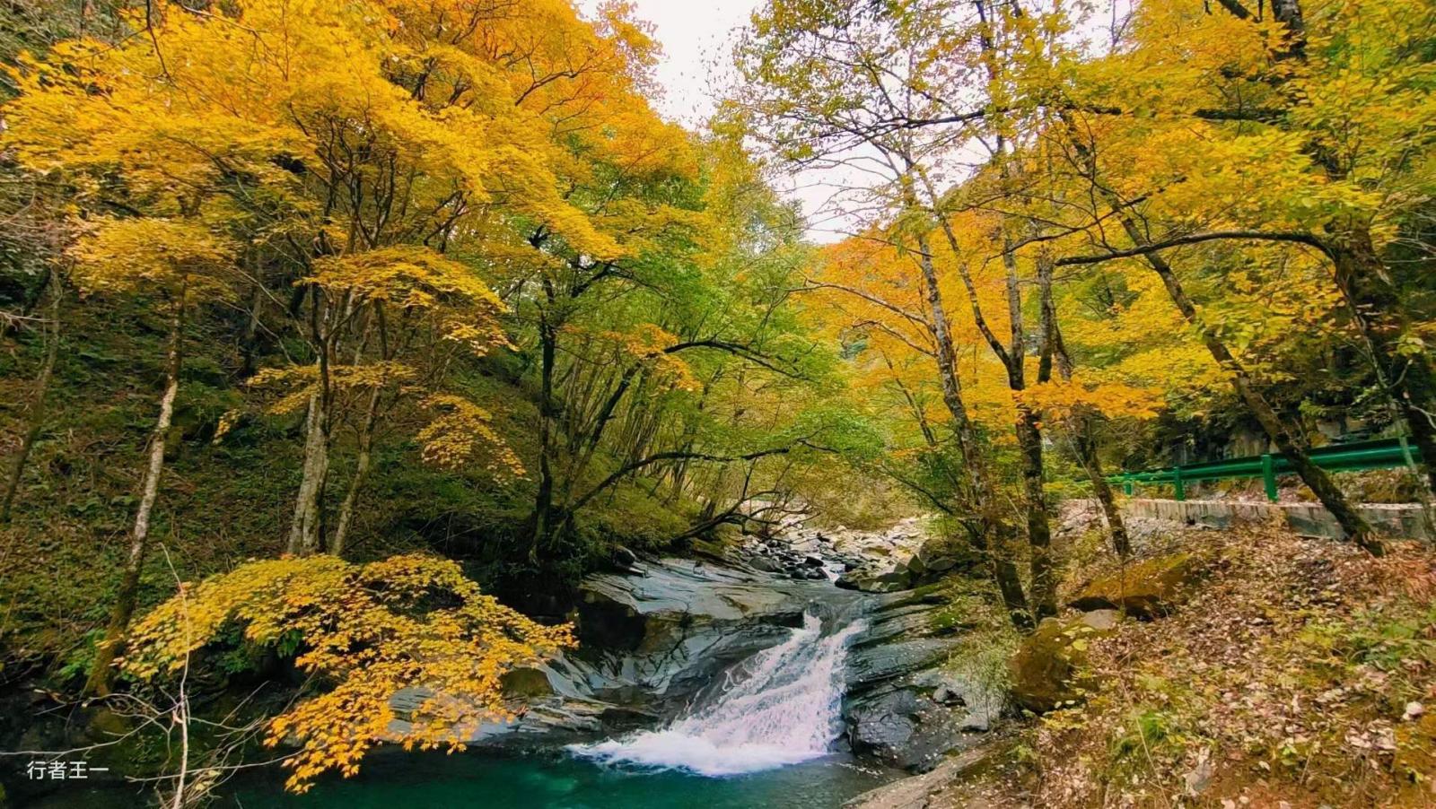 2022金秋 | 重庆最北，穿越巴山一线，愿如彩叶舞翩迁 北极环线3日自驾