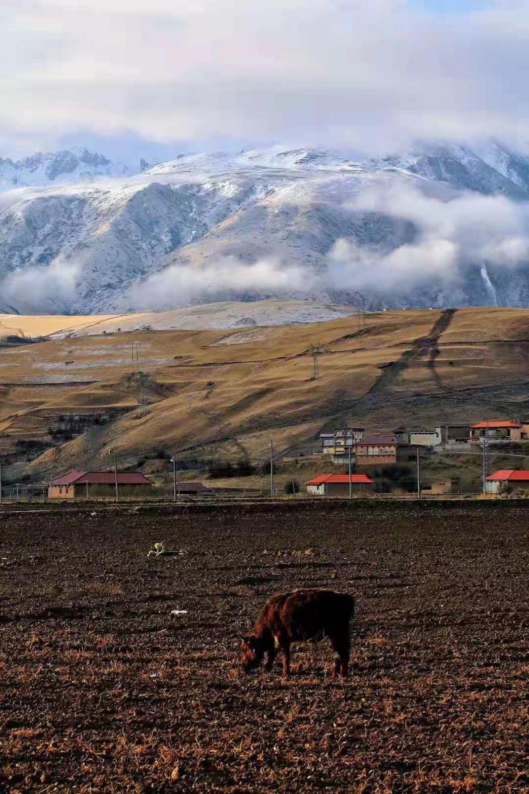 成都出發(fā)川藏線+稻城15日自駕游：川藏318-稻城亞丁-梅里雪山-扎西崗村-布達(dá)拉宮-羊卓雍措-圣象天門-可可西里-翡翠湖15日自駕游