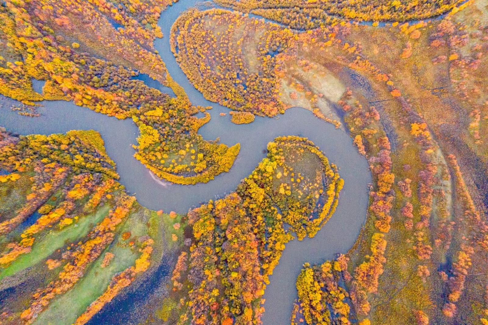 全国出发呼伦贝尔9日自驾：