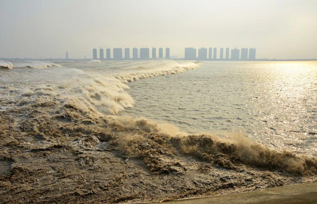 自駕下江南北京出發(fā)山東-安徽-浙江8日自駕路書：觀錢塘江大潮，游江南古鎮(zhèn)，暢游江南水鄉(xiāng)