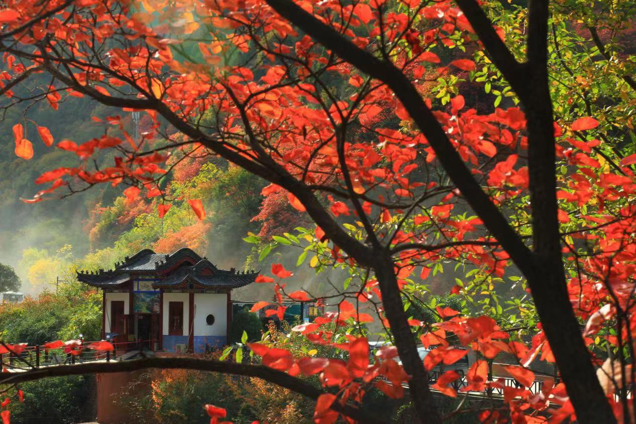 汉中集合秦岭赏秋5日自驾路书：穿越秦岭腹地，一起去看南北分界的秦岭秋色5日自驾