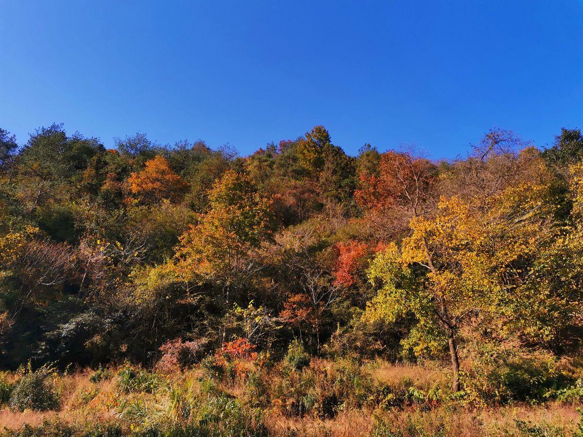 合肥周边自驾2日游：赏大别山红叶-天妙公路-天峡-享天悦湾温泉鹞落坪岳西二日游