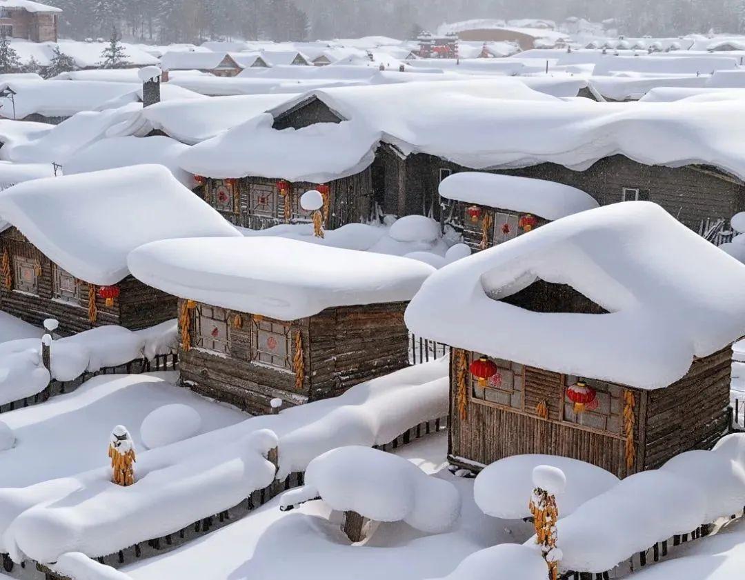 全国出发长春集结：穿林海雪原丨雪乡丨镜泊湖丨长白山西坡丨老里克湖丨哈尔滨9日落地自驾游