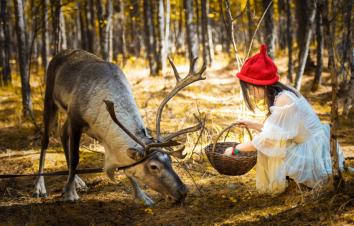 暑期全国出发呼伦贝尔·中俄边境8日自驾游：阿尔山·月亮天池·额尔古纳河·室韦·莫尔道嘎-游推荐
