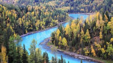 乌市集合新疆北疆9日自驾游：可可托海-喀纳斯-禾木-魔鬼城-赛里木湖9日自驾游-推荐