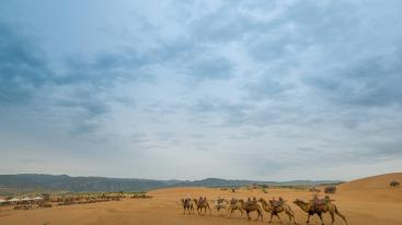 四川出发西北宁夏青海8日自驾：沙坡头-青海湖-坎布拉-甘南草原8日自驾游-推荐
