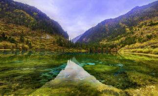 成都出发川西6日自驾：童话世界九寨沟丨人间瑶池黄龙丨最近的遥远达古冰川丨层林尽染毕棚沟6日自驾游自驾游