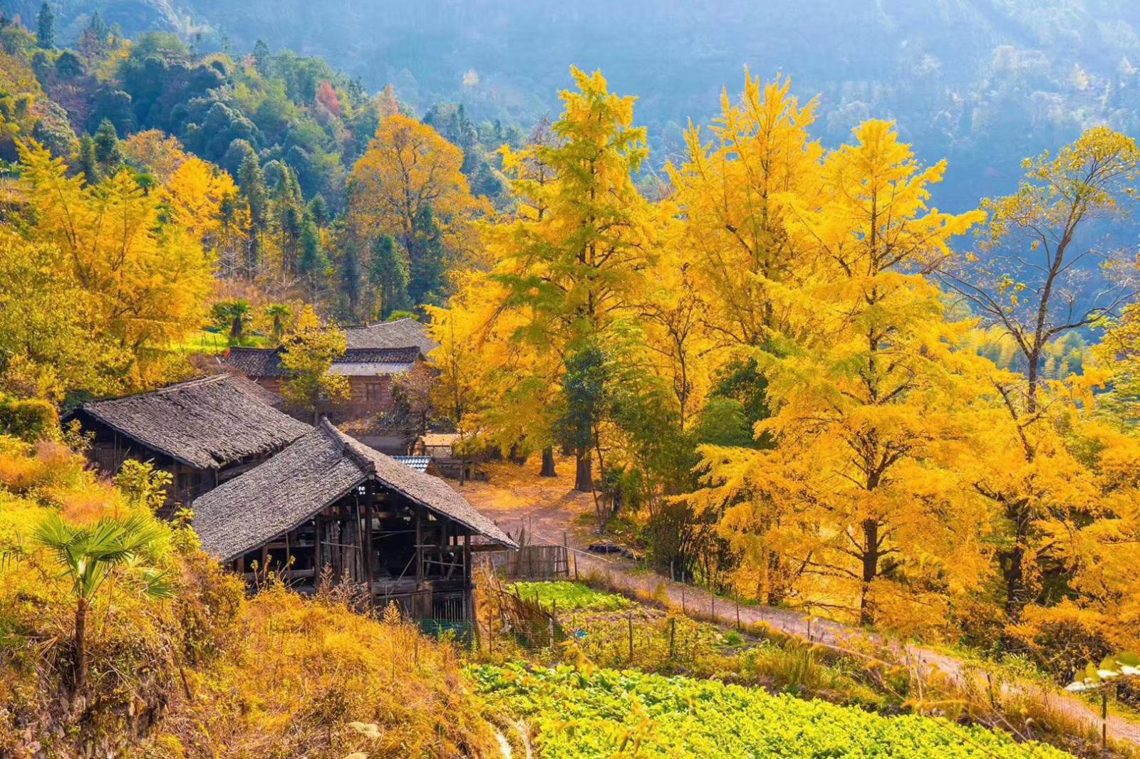 广东出发探访广西桂林海洋乡童话世界-龙脊梯田休闲3天自驾游自驾游