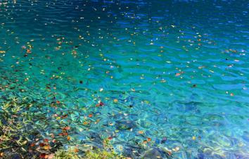 成都出發(fā)川西5日自駕：九寨溝-黃龍-達(dá)古冰川5日自駕游-游推薦