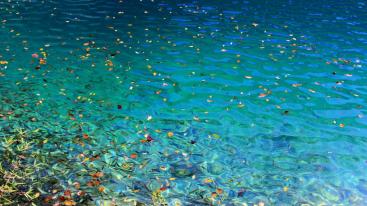 成都出发川西5日自驾：九寨沟-黄龙-达古冰川5日自驾游-推荐