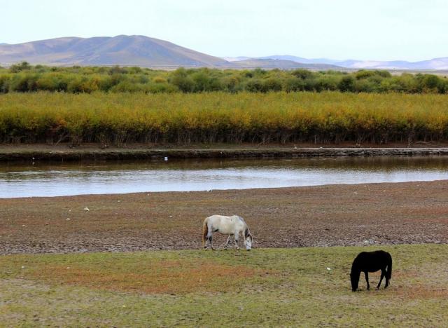 唐克自驾游,唐克自驾游攻略,唐克自驾游路线推荐
