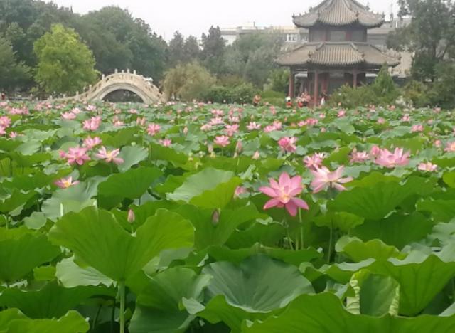 大兴自驾游,大兴自驾游攻略,大兴自驾游路线推荐