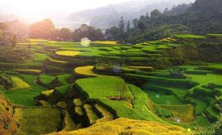 北京出發(fā)至西安5日油菜花自駕游；漢中油菜花-秦嶺鳳堰古梯田休閑5日自駕自駕游