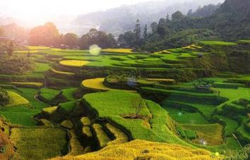 北京出发至西安5日油菜花自驾游；汉中油菜花-秦岭凤堰古梯田休闲5日自驾-游推荐