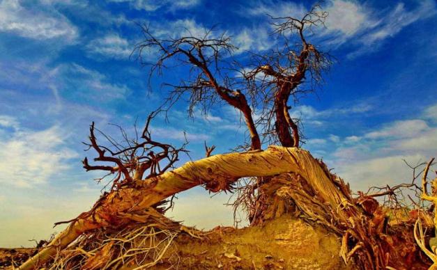 乌鲁木齐集合南疆10日落地自驾游：库木塔格雪+龟兹魔鬼城+库车大峡谷+卡拉库里湖10日游