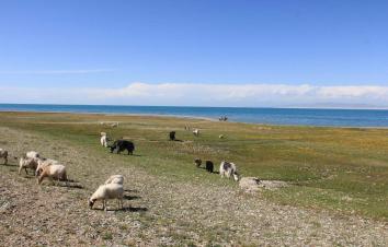 重庆出发西北7日自驾游：青海湖-茶卡盐湖-坎布拉-米拉日巴佛阁7日自驾游-游推荐