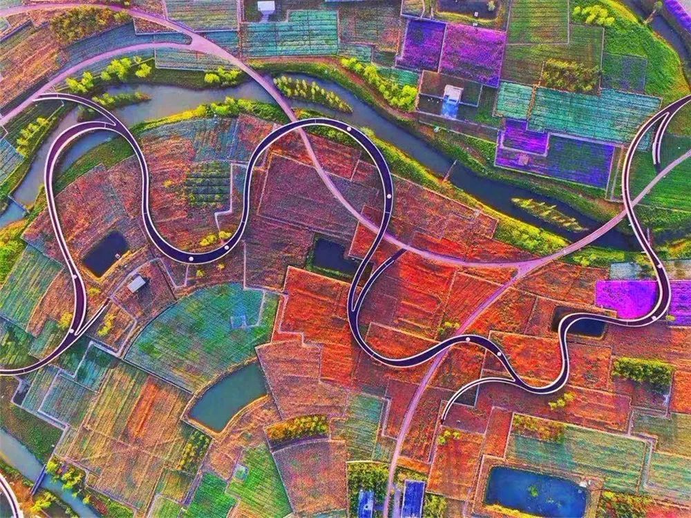 山东出发江苏自驾游：兴化千垛花海-大纵湖芦苇迷宫-李中水上森林3日休闲游自驾游