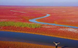 济南周边自驾游：黄河入海口-东营红地毯-冬枣采摘2日周末体验活动自驾游