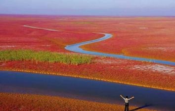 济南周边自驾游：黄河入海口-东营红地毯-冬枣采摘2日周末体验活动-游推荐
