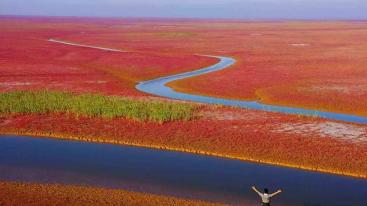 济南周边自驾游：黄河入海口-东营红地毯-冬枣采摘2日周末体验活动-推荐