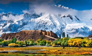 全国出发南疆+阿里16日自驾游：轮台胡杨林公园-塔克拉玛干沙漠-冈仁波齐-羊卓雍措-珠峰大本营自驾游