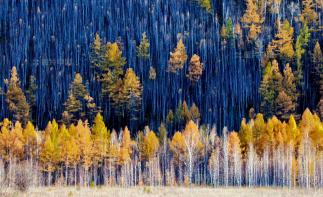 盤錦集合東北/俄羅斯自駕游：盤錦紅地毯-五大蓮池-漠河北極村-俄羅斯15日賞秋之旅自駕游