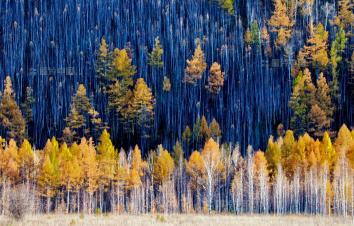 盘锦集合东北/俄罗斯自驾游：盘锦红地毯-五大莲池-漠河北极村-俄罗斯15日赏秋之旅-游推荐