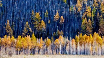 盘锦集合东北/俄罗斯自驾游：盘锦红地毯-五大莲池-漠河北极村-俄罗斯15日赏秋之旅-推荐