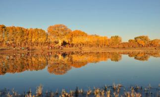 重慶出發(fā)/內(nèi)蒙西北10日自駕游：張掖-怪樹林-額濟(jì)納胡楊林-巴彥淖爾-響沙灣-鄂爾多斯-安塞-漢中1自駕游
