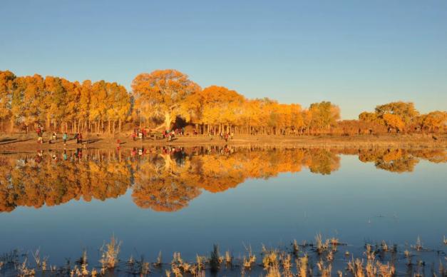 重庆出发/内蒙西北10日自驾游：张掖-怪树林-额济纳胡杨林-巴彦淖尔-响沙湾-鄂尔多斯-安塞-汉中10日环线自驾之旅
