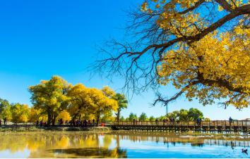 重庆出发内蒙/西北8日自驾游：额济纳胡杨林-居延海-银川-安塞-汉中8日自驾之旅-游推荐