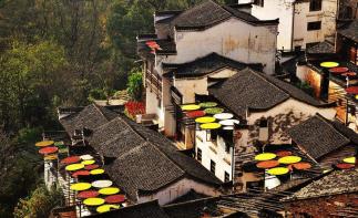山东出发江西自驾游：庐山-鄱阳湖-石钟山-婺源篁岭6日赏秋之旅自驾游