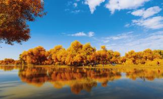 濟(jì)南出發(fā)西北11日自駕游：額濟(jì)納胡楊林-大柴旦翡翠湖-茶卡鹽湖11日青甘大環(huán)線自駕游