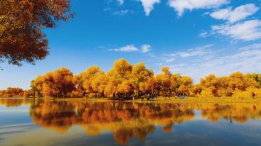 济南出发西北11日自驾游：额济纳胡杨林-大柴旦翡翠湖-茶卡盐湖11日青甘大环线-推荐