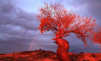 西安出發(fā)柴達木盆地6日自駕游：胡楊林-水上雅丹-九層妖塔古墓群探秘之旅自駕游
