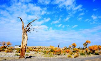 廣東出發(fā)阿拉善雙飛8日自駕游（重復(fù)需要覆蓋）自駕游