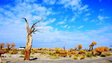 广东出发阿拉善双飞8日自驾游（重复需要覆盖）-推荐